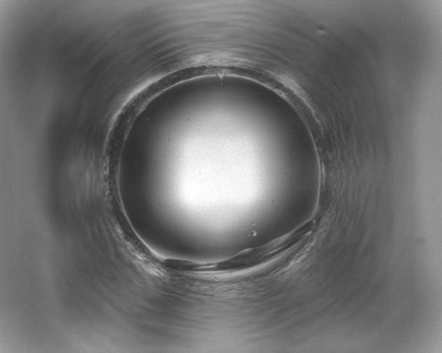 X0000065260971200602171450