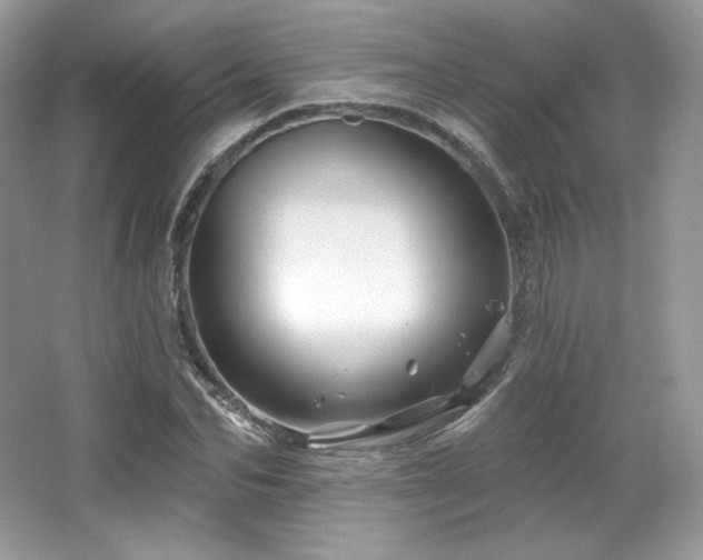 X0000065260974200602171450