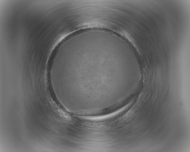 X0000065260975200602171450