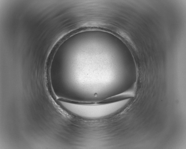 X0000065260976200602171450