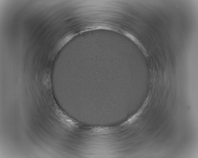 X0000065260977200602171450