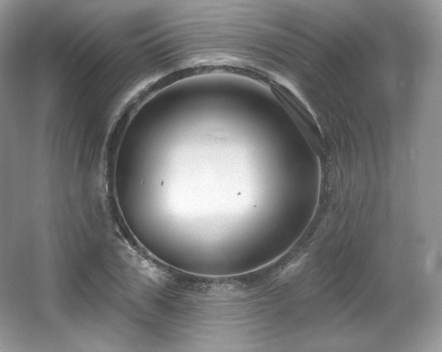 X0000065260979200602171450