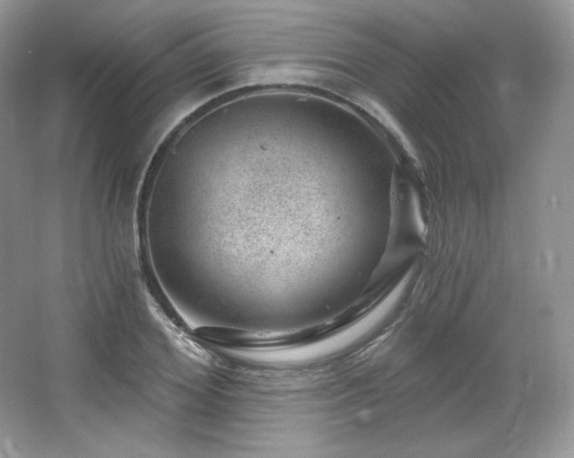 X0000065260980200602171450