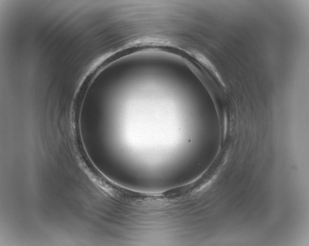 X0000065260981200602171450