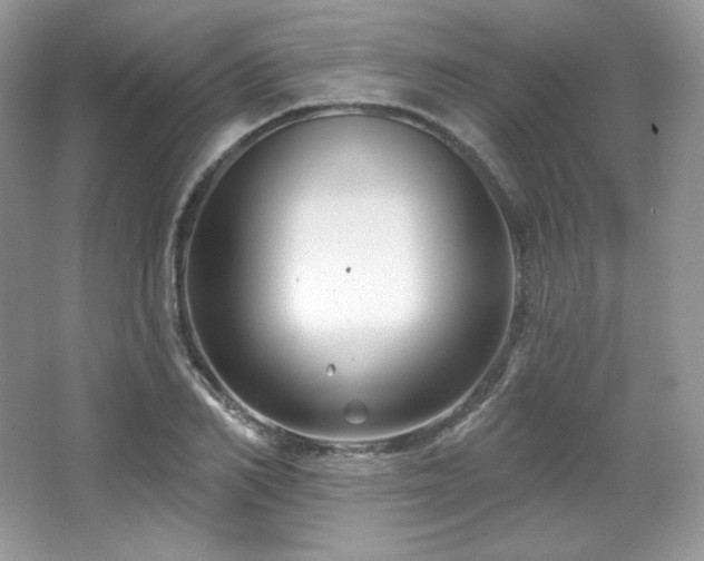 X0000065260982200602171450