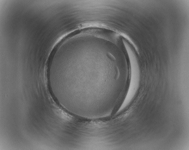 X0000065260983200602171450