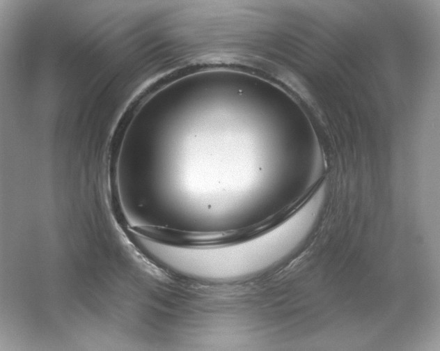 X0000065260984200602171450