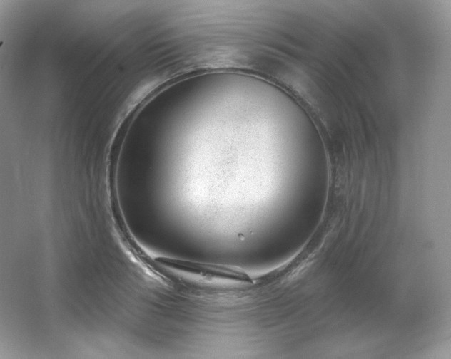 X0000065260986200602171450