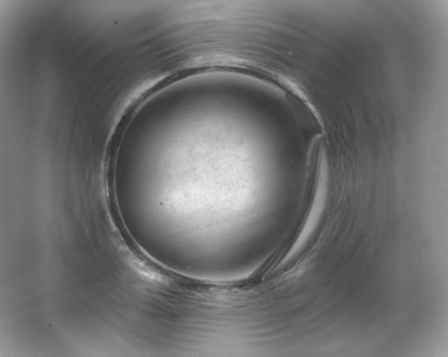 X0000065260987200602171450