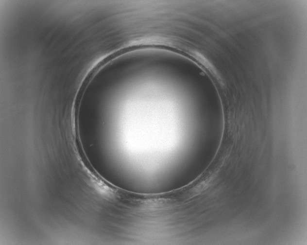 X0000065260988200602171450