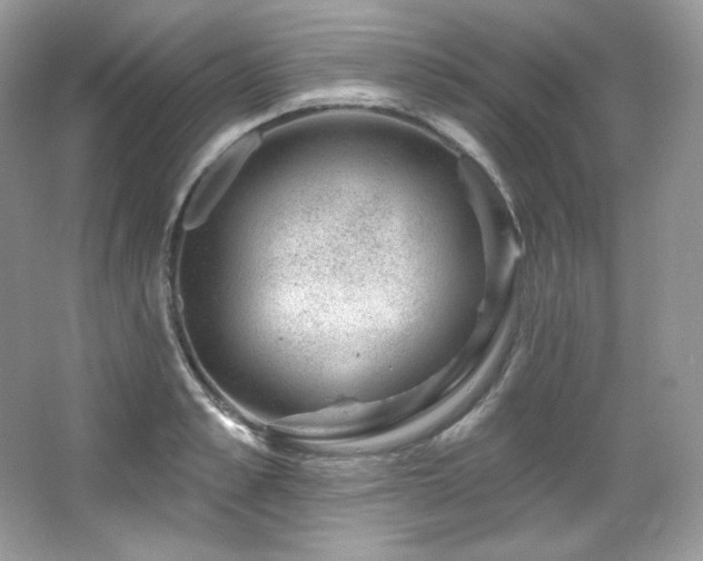 X0000065260989200602171450