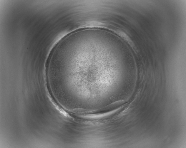 X0000065260990200602171450