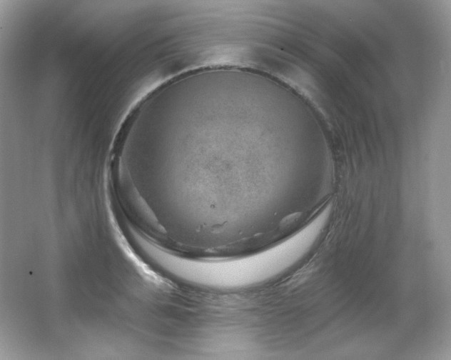 X0000065260991200602171450