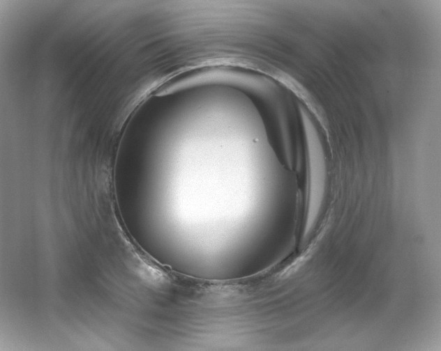 X0000065260993200602171450