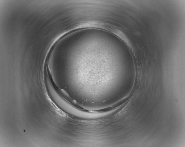 X0000065260996200602171450