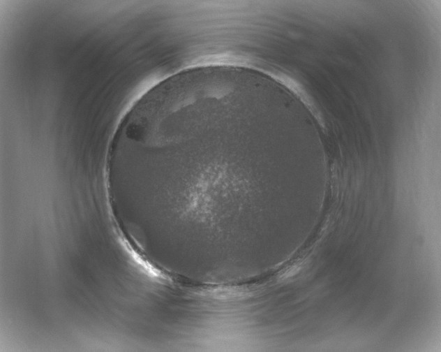 X0000065260998200602171449