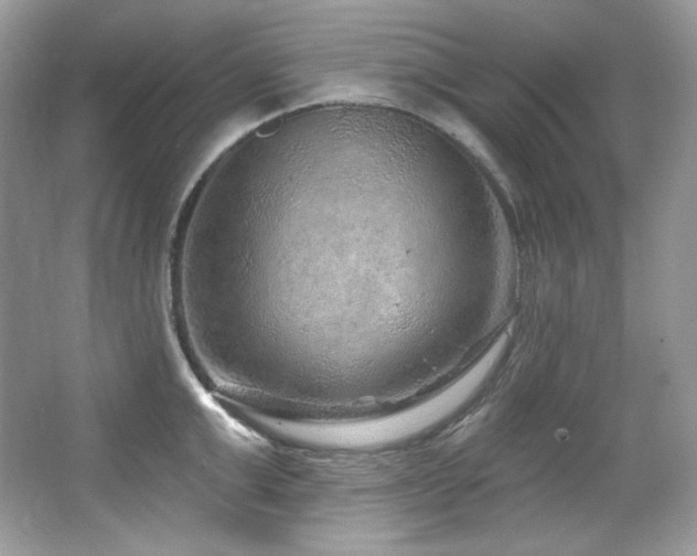 X0000065260999200602171449