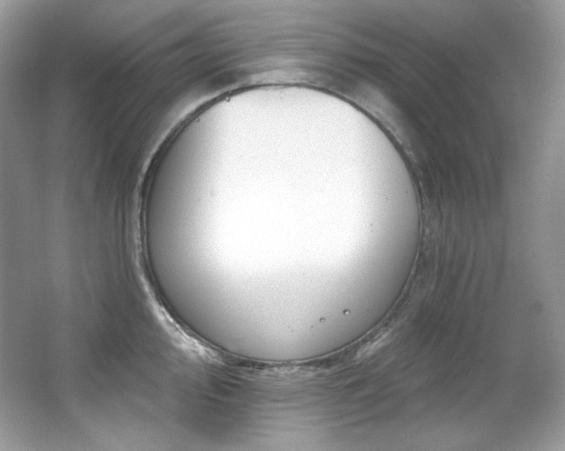 X0000065261000200602171449