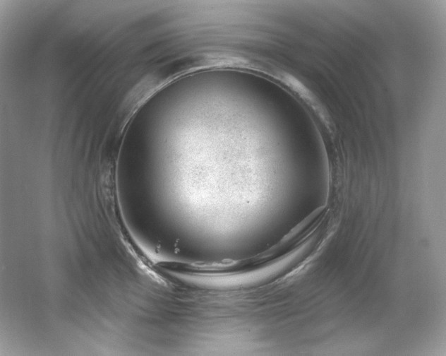 X0000065261001200602171449