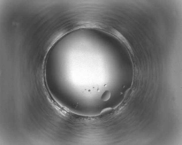 X0000065261002200602171449