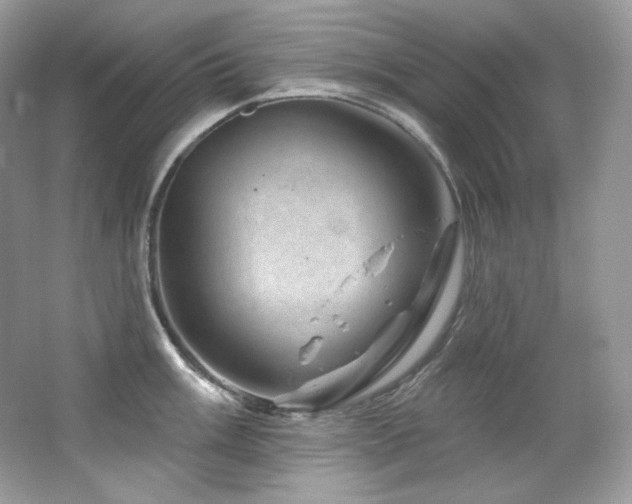 X0000065261003200602171449