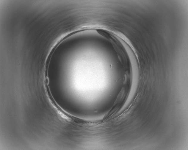 X0000065261005200602171449