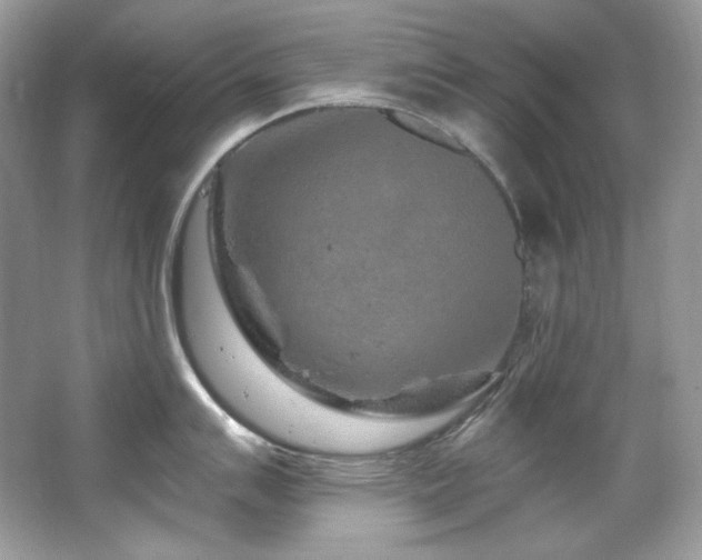 X0000065261007200602171449