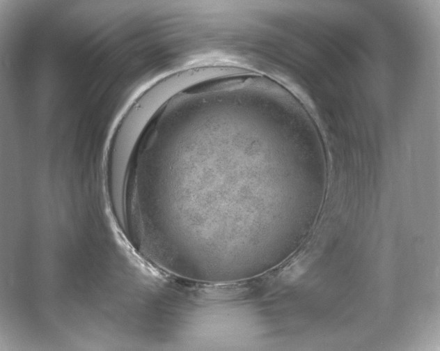 X0000065261008200602171449