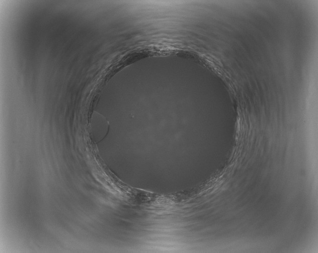 X0000065261009200602171448