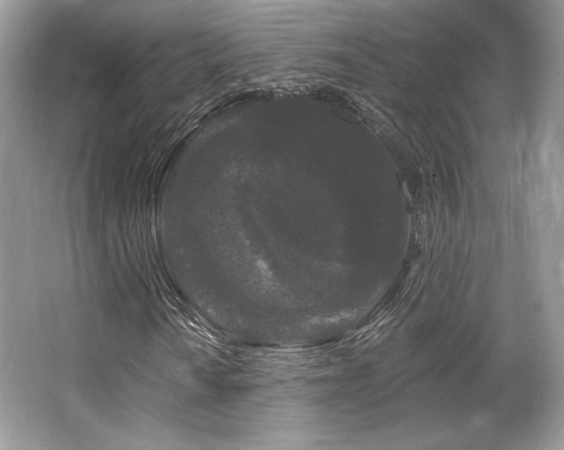 X0000065261010200602171449