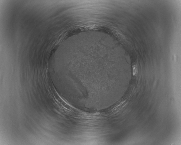 X0000065261011200602171449