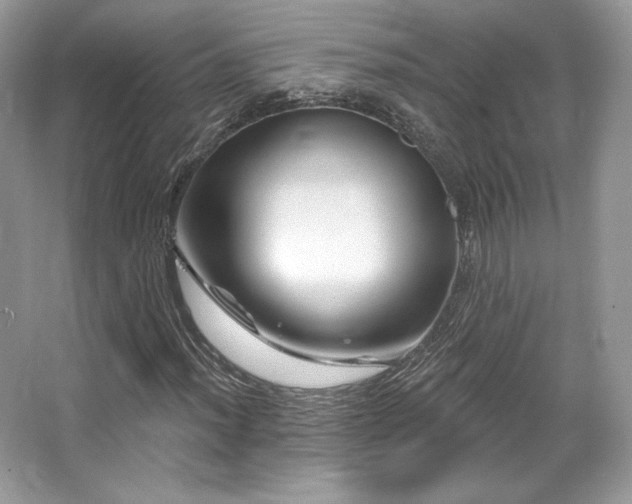 X0000065261012200602171449