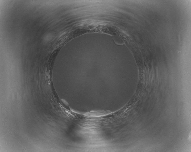 X0000065261013200602171449