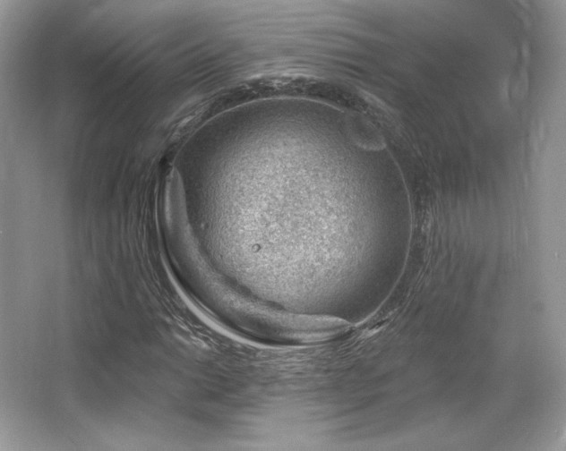 X0000065261014200602171449