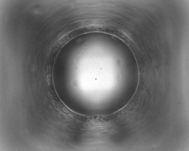 X0000065261015200602171449