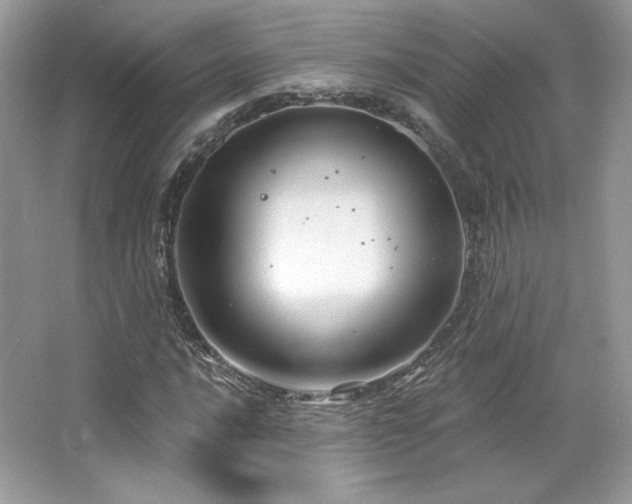 X0000065261016200602171449