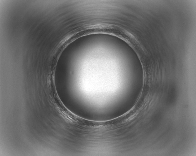 X0000065261017200602171449