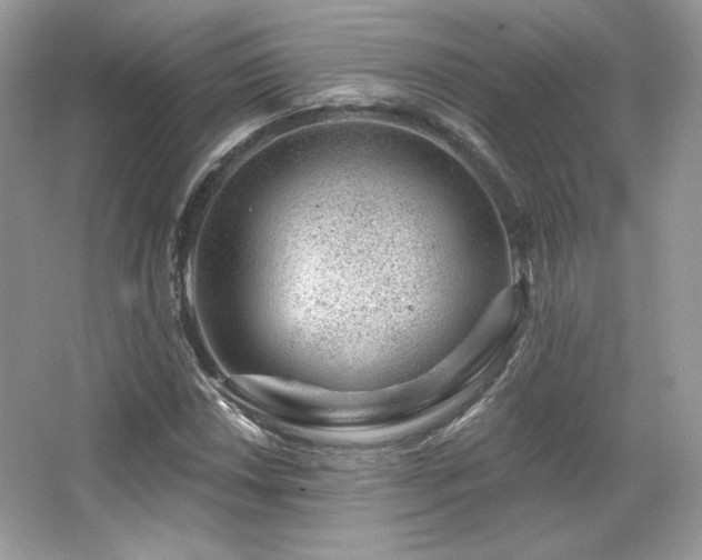 X0000065261018200602171449