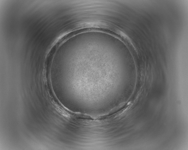 X0000065261019200602171449