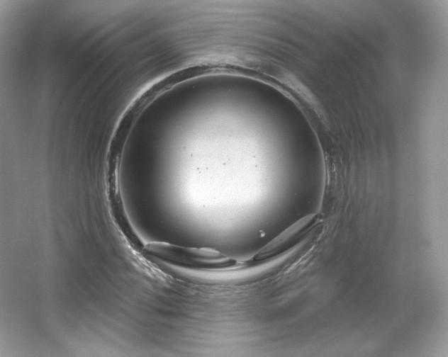 X0000065261020200602171449