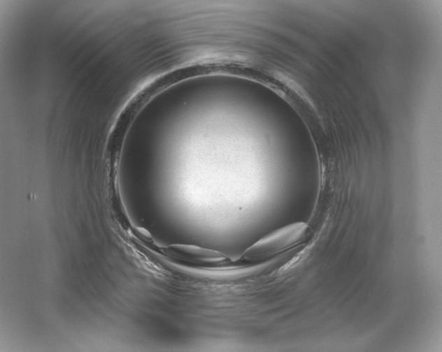 X0000065261021200602171449