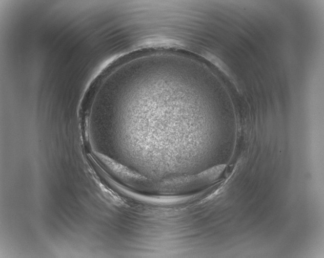 X0000065261022200602171449