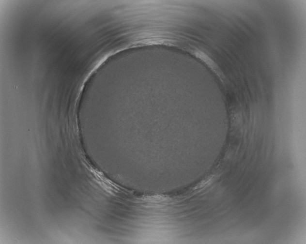 X0000065261023200602171449