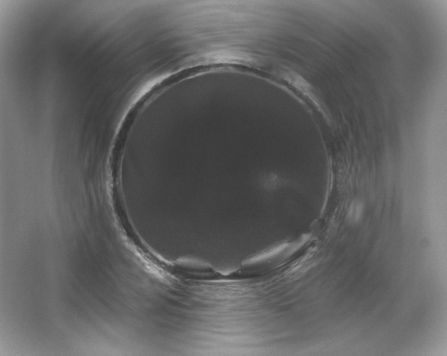 X0000065261024200602171449