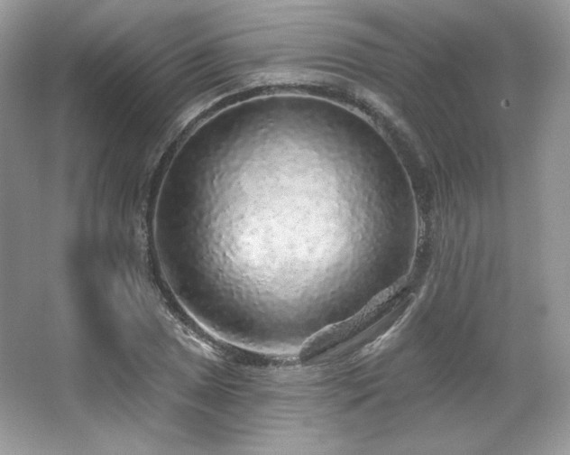 X0000065261025200602171449