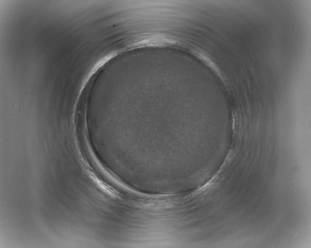 X0000065261026200602171449