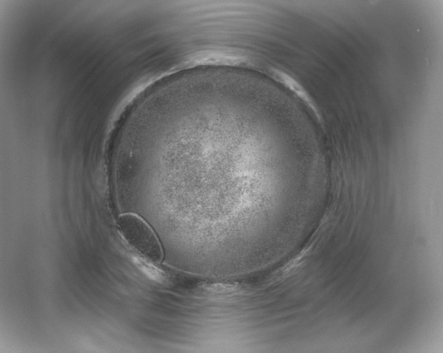 X0000065261027200602171449