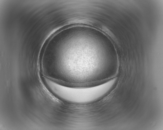 X0000065261028200602171449