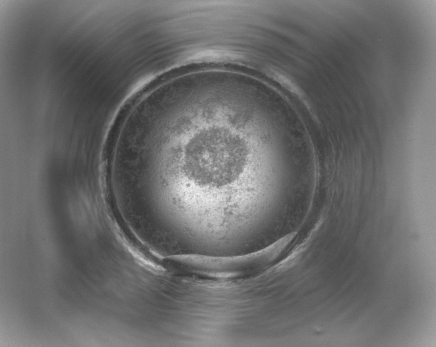 X0000065261029200602171449