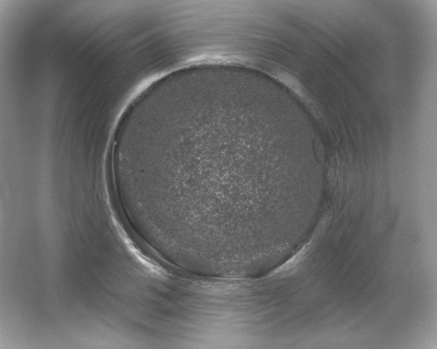 X0000065261030200602171449